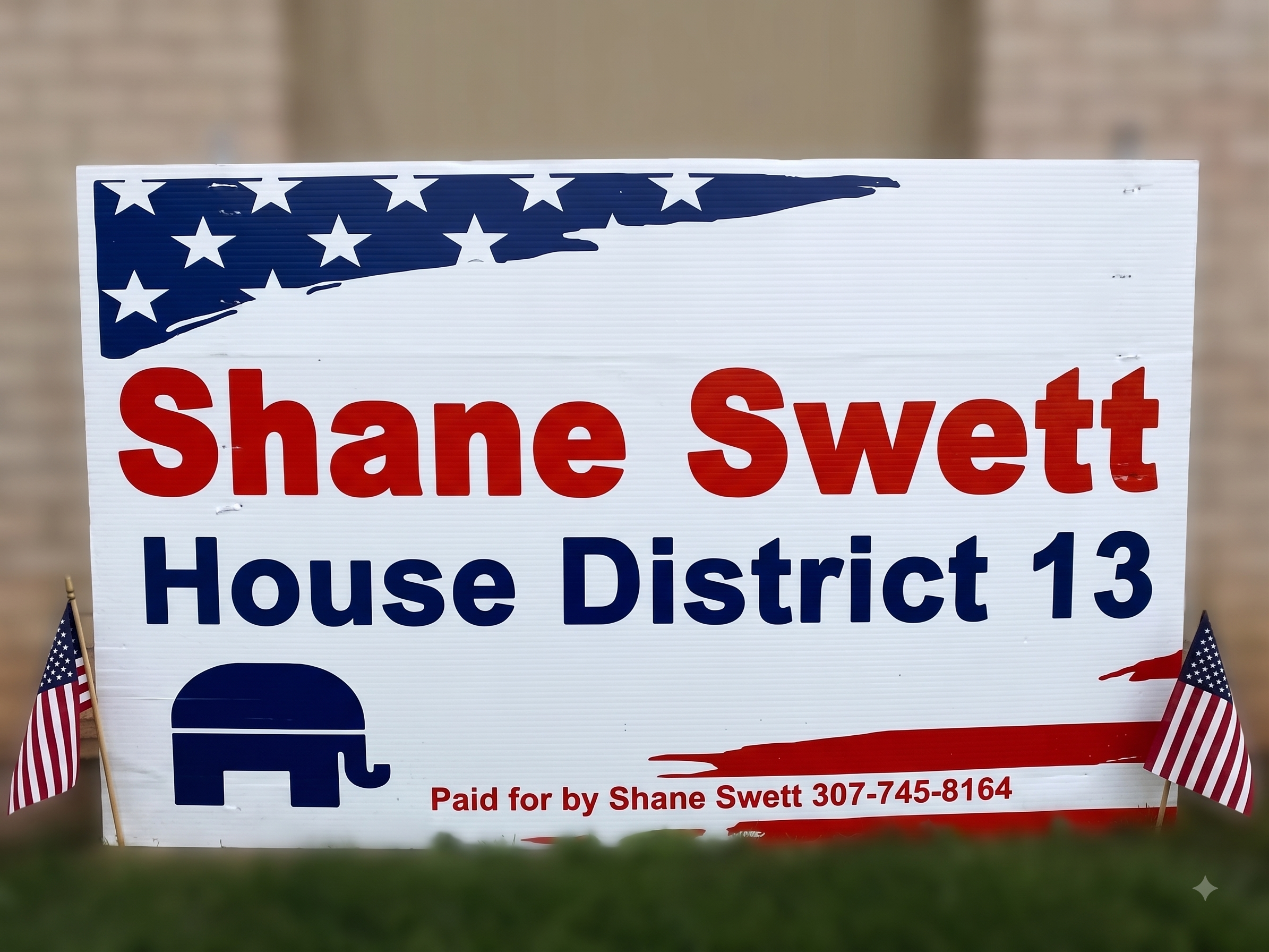 Shane Swett for House District 13 campaign sign with American flags